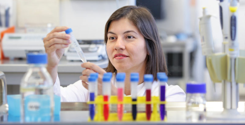 Critical, vibrant, colourful - our Bone Lab is like Brazilian carnival